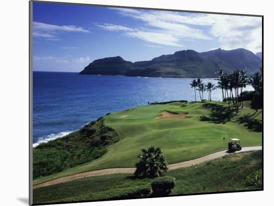 Kauai, Hawaii, USA-null-Mounted Premium Photographic Print