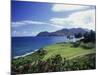 Kauai, Hawaii, USA-null-Mounted Photographic Print