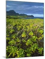 Kauai in Hawaii-Guido Cozzi-Mounted Photographic Print