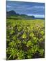 Kauai in Hawaii-Guido Cozzi-Mounted Photographic Print