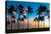 Kauai Sunset-nstanev-Stretched Canvas