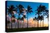 Kauai Sunset-nstanev-Stretched Canvas