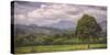 Kauai Tree Landscape (Wide)-Vincent James-Stretched Canvas