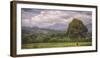 Kauai Tree Landscape (Wide)-Vincent James-Framed Photographic Print