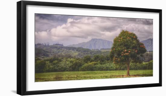 Kauai Tree Landscape (Wide)-Vincent James-Framed Photographic Print