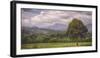 Kauai Tree Landscape (Wide)-Vincent James-Framed Photographic Print