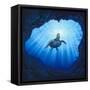 Kauai Turtle Cave-Thomas Deir-Framed Stretched Canvas