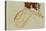 Kauernder Rueckenakt - Crouching nude,back view,1917-Egon Schiele-Stretched Canvas