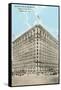 Kaufman and Baer Department Store, Pittsburgh-null-Framed Stretched Canvas