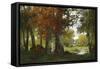 Kaufmann - Working in the Forest-null-Framed Stretched Canvas