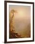 Kauterskill Clove, in the Catskills, 1862-Sanford Robinson Gifford-Framed Giclee Print