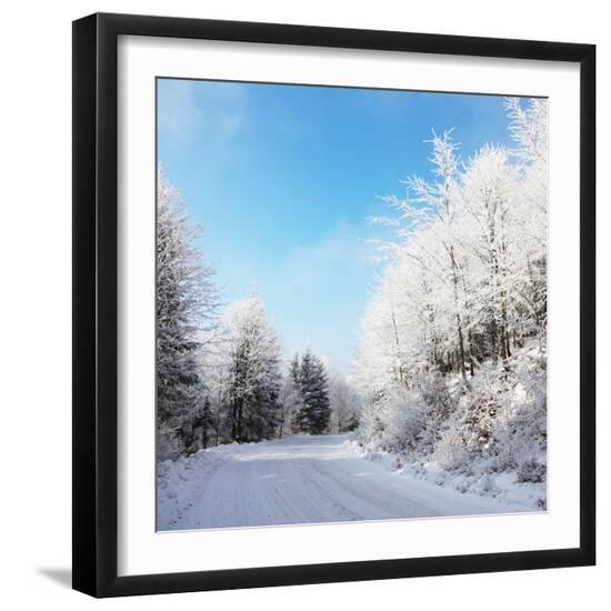 Premium Photographic Print, , large