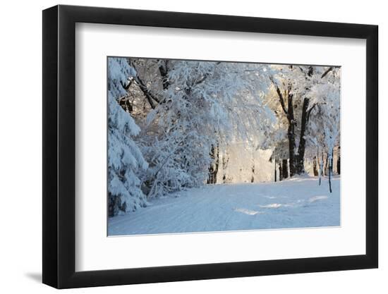 Premium Photographic Print, , large