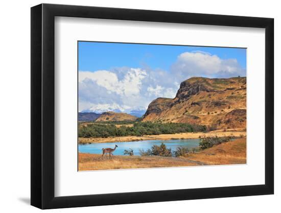 Premium Photographic Print, , large