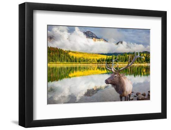 Premium Photographic Print, , large