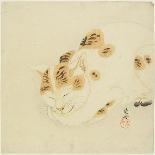 Sleeping Cat-Kawanabe Kyosai-Giclee Print