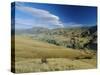 Kawarau Valley in Area North East of Queenstown, New Zealand-Robert Francis-Stretched Canvas