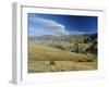 Kawarau Valley in Area North East of Queenstown, New Zealand-Robert Francis-Framed Photographic Print