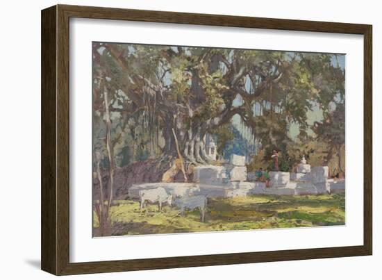 Kawardha Well and Banyan Tree-Tim Scott Bolton-Framed Giclee Print