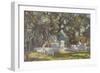 Kawardha Well and Banyan Tree-Tim Scott Bolton-Framed Giclee Print