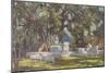 Kawardha Well and Banyan Tree-Tim Scott Bolton-Mounted Giclee Print