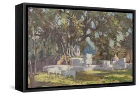 Kawardha Well and Banyan Tree-Tim Scott Bolton-Framed Stretched Canvas