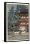 Canvas Black