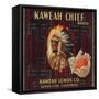 Kaweah Chief Oranges - Lemon Cove, California - Citrus Crate Label-Lantern Press-Framed Stretched Canvas