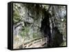 Kawiti Glow Worm Caves, near Kawakawa, Northland, New Zealand-David Wall-Framed Stretched Canvas