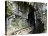 Kawiti Glow Worm Caves, near Kawakawa, Northland, New Zealand-David Wall-Stretched Canvas