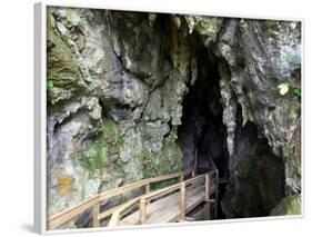 Kawiti Glow Worm Caves, near Kawakawa, Northland, New Zealand-David Wall-Framed Photographic Print