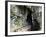 Kawiti Glow Worm Caves, near Kawakawa, Northland, New Zealand-David Wall-Framed Photographic Print