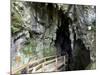 Kawiti Glow Worm Caves, near Kawakawa, Northland, New Zealand-David Wall-Mounted Photographic Print