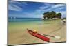 Kayak and Fisherman Island, Abel Tasman National Park, Nelson Region, South Island, New Zealand-David Wall-Mounted Photographic Print