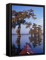 Kayak Exploring the Swamp, Atchafalaya Basin, New Orleans, Louisiana, USA-Adam Jones-Framed Stretched Canvas