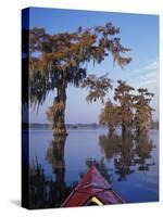 Kayak Exploring the Swamp, Atchafalaya Basin, New Orleans, Louisiana, USA-Adam Jones-Stretched Canvas