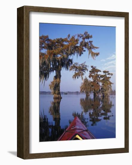 Kayak Exploring the Swamp, Atchafalaya Basin, New Orleans, Louisiana, USA-Adam Jones-Framed Photographic Print