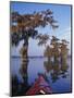 Kayak Exploring the Swamp, Atchafalaya Basin, New Orleans, Louisiana, USA-Adam Jones-Mounted Photographic Print