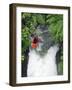 Kayak in Tutea's Falls, Okere River, New Zealand-David Wall-Framed Photographic Print