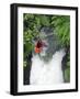 Kayak in Tutea's Falls, Okere River, New Zealand-David Wall-Framed Photographic Print