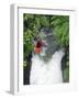 Kayak in Tutea's Falls, Okere River, New Zealand-David Wall-Framed Photographic Print