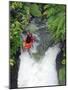 Kayak in Tutea's Falls, Okere River, New Zealand-David Wall-Mounted Photographic Print