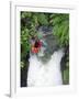 Kayak in Tutea's Falls, Okere River, New Zealand-David Wall-Framed Photographic Print