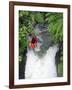 Kayak in Tutea's Falls, Okere River, New Zealand-David Wall-Framed Photographic Print