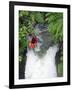 Kayak in Tutea's Falls, Okere River, New Zealand-David Wall-Framed Photographic Print