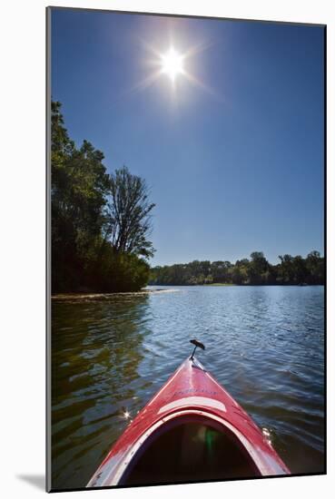 Kayak Morning-Steve Gadomski-Mounted Photographic Print