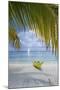 Kayak on White Sand Beach, Southwater Cay, Stann Creek, Belize-Cindy Miller Hopkins-Mounted Photographic Print