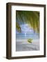 Kayak on White Sand Beach, Southwater Cay, Stann Creek, Belize-Cindy Miller Hopkins-Framed Photographic Print