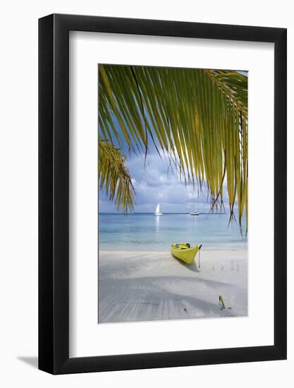 Kayak on White Sand Beach, Southwater Cay, Stann Creek, Belize-Cindy Miller Hopkins-Framed Photographic Print