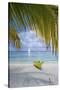 Kayak on White Sand Beach, Southwater Cay, Stann Creek, Belize-Cindy Miller Hopkins-Stretched Canvas